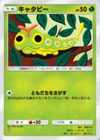 の画像