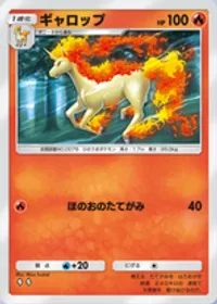 の画像