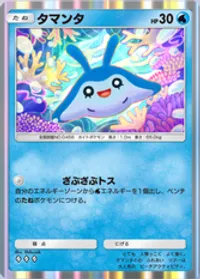 の画像