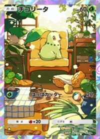 の画像