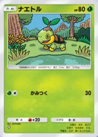 の画像