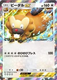 の画像