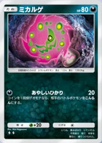 の画像