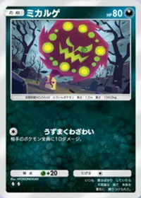 の画像