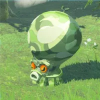 森オクタ