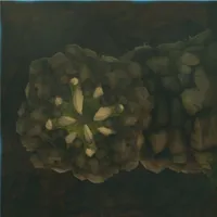 ロックライク