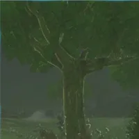 デグボグ