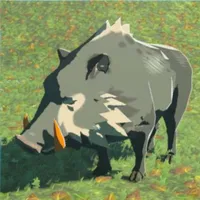 キバアカイノシシ