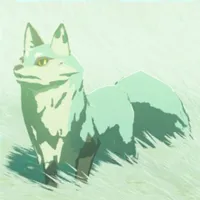 ユキイロギツネ