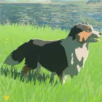 ハイリア犬