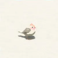 ベニイロスズメ