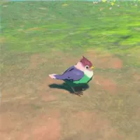 ゴシキスズメ
