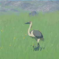 アオバサギ