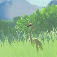 モモイロサギ