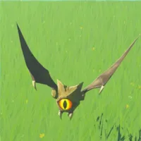 キース