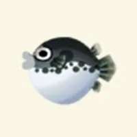 の画像