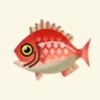 の画像