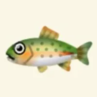 の画像