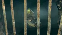 の画像