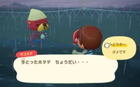 の画像
