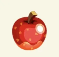 の画像