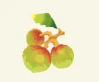 の画像