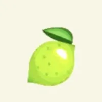 の画像