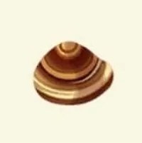 の画像