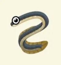 の画像