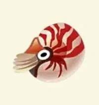 の画像
