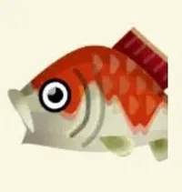 の画像