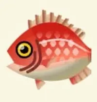 の画像