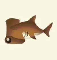 の画像