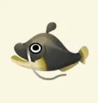 の画像