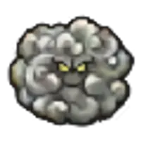 の画像