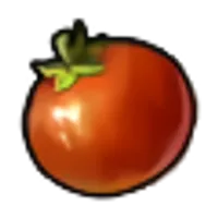 の画像