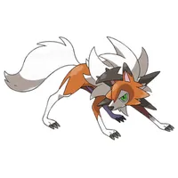 の画像