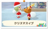 の画像