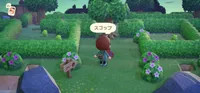 の画像