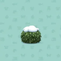 の画像