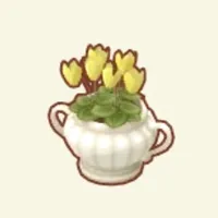の画像