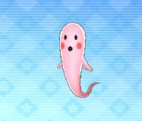 の画像