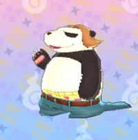の画像