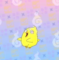 の画像