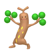 の画像