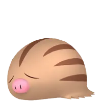 の画像
