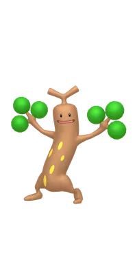 の画像
