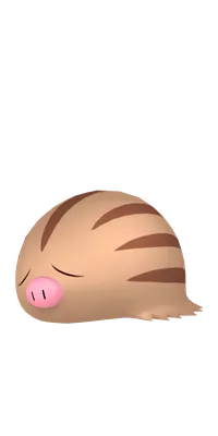の画像