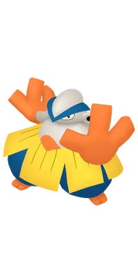 の画像