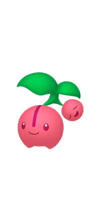 の画像